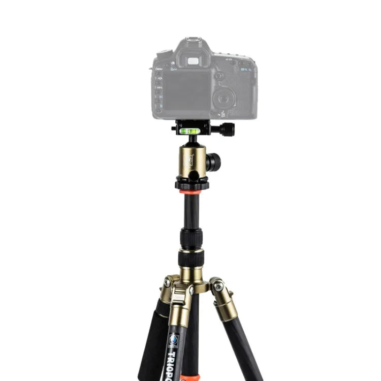 Triopo GT-2505x8.C Tripé Portátil Ajustável em Fibra de Carbono com Cabeça de Bola de Alumínio B-1 para Câmera DSLR Canon Nikon Sony, GT-2505x8.C (Preto), GT-2505x8.C (Dourado)