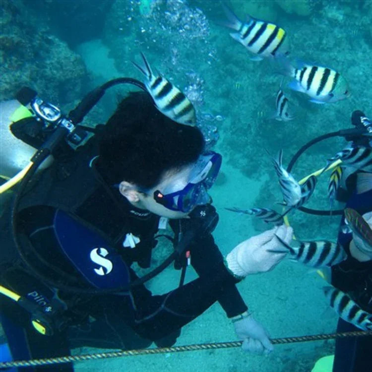 Equipamento de Mergulho para Desportos Aquáticos Máscara de Mergulho Óculos de Natação para GoPro, Insta360, DJI e Outras Câmaras de Ação, Óculos de Natação