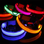 Coleira para Cão com LED Ajustável de 3 Modos, Tamanho: S, Tamanho: S, Tamanho: M, Tamanho: L, Tamanho: XL