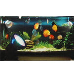 Luz Colorida para Aquário / Tanque de Peixes Anfíbio com 36 LEDs, Profundidade Impermeável: 1-1,5 m