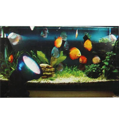 Luz Colorida para Aquário / Tanque de Peixes Anfíbio com 36 LEDs, Profundidade Impermeável: 1-1,5 m