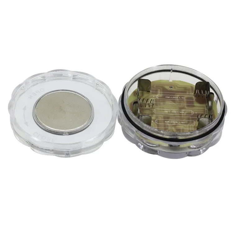 10 LEDs com Controlo Remoto