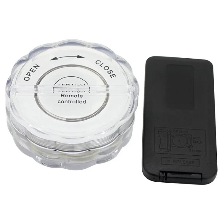 10 LEDs com Controlo Remoto