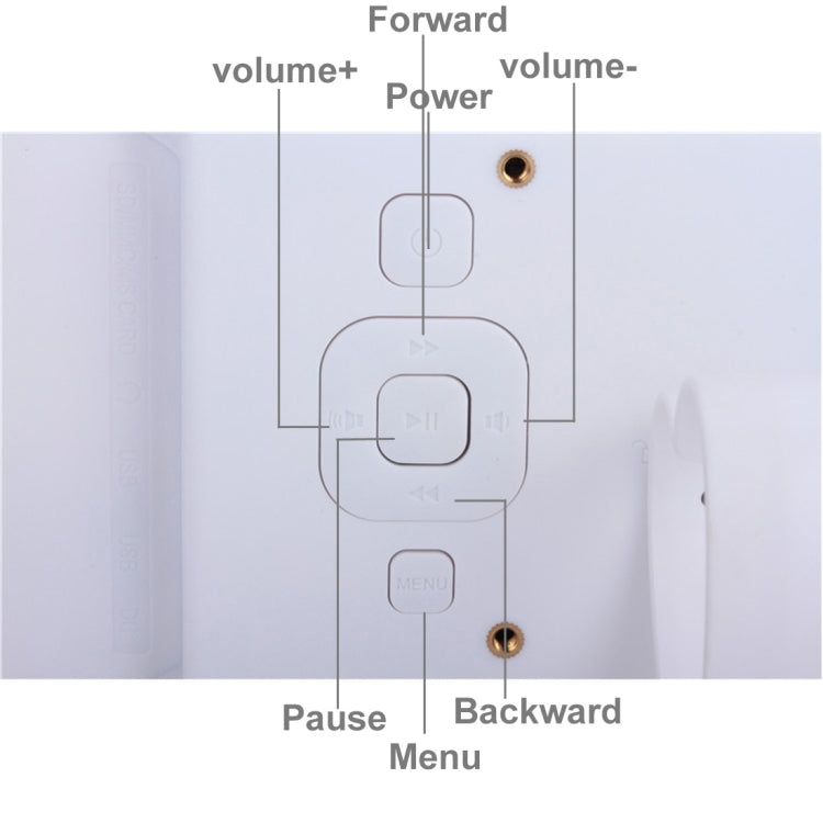 نص بديل للصورة