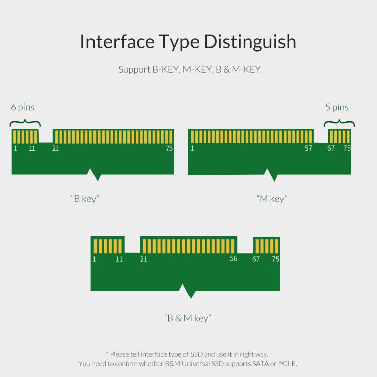 ORICO PDM2 M.2 NVME para PCI-E 3.0 X4 Placa de Expansão
