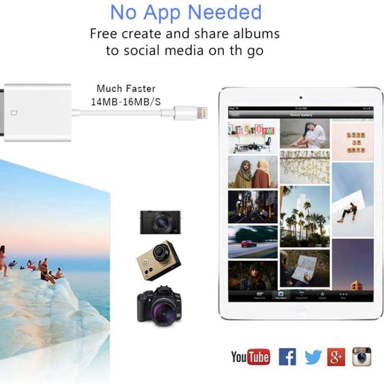 ZS-KL21810 Adaptador leitor de cartões para câmara 8 pinos para cartão SD, compatível com todos os sistemas iOS, slot para cartão SD