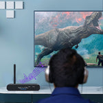 Receptor e Transmissor Bluetooth 5.0 Digital 3 em 1 ZS-SGD09 de Digital para Analógico