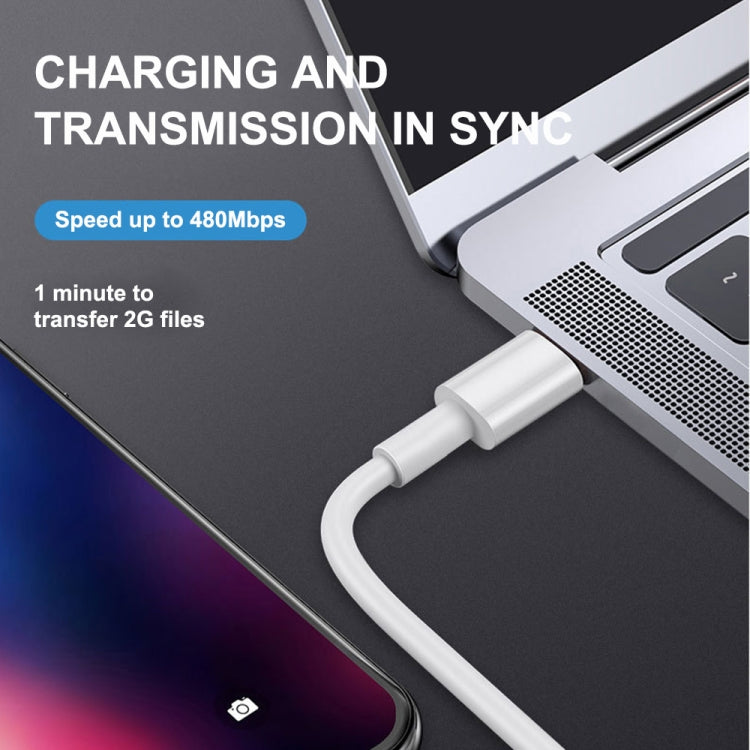 Cabo de Carregamento Rápido e Sincronização de Dados PD20W USB-C / Type-C para 8 Pinos para iPhone 13 / 12 Series, 1m, 1,5m, 2m