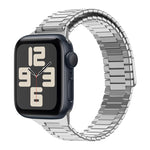Correia de Relógio de Metal Magnética de Aço Inoxidável Bamboo, Para Apple Watch SE 2023 44mm, Para Apple Watch SE 2023 40mm, Para Apple Watch Ultra 2 49mm, Para Apple Watch Series 9 45mm, Para Apple Watch Series 9 41mm, Para Apple Watch Ultra 49mm