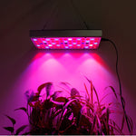 25W 75LEDs Full Spectrum Plant Lighting Fitolampy For Plants Flowers Seedling Cultivation Growing Lamps LED Grow Light  AC85-265V, US, EU