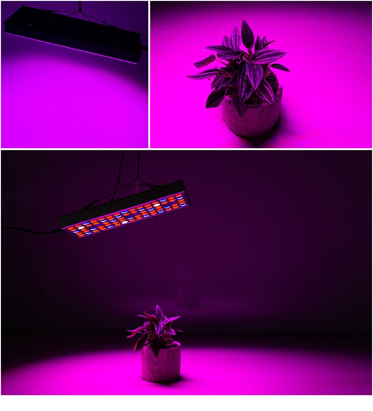 25W 75LEDs Full Spectrum Plant Lighting Fitolampy For Plants Flowers Seedling Cultivation Growing Lamps LED Grow Light  AC85-265V, US, EU