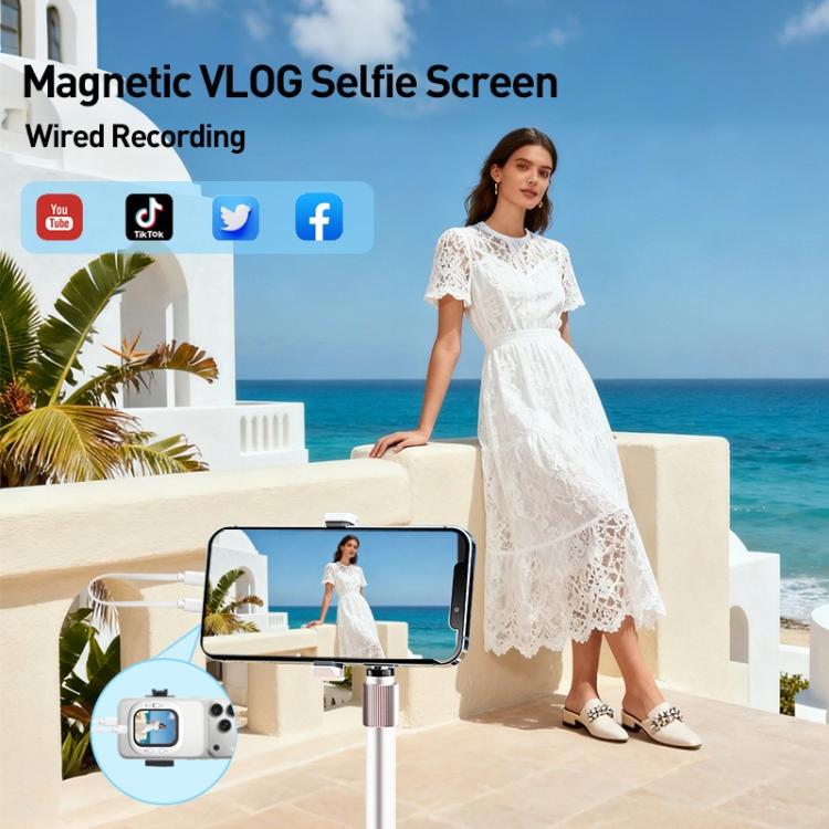 Slim Mini Magnetic Wireless Selfie Screen Casting Device, D12