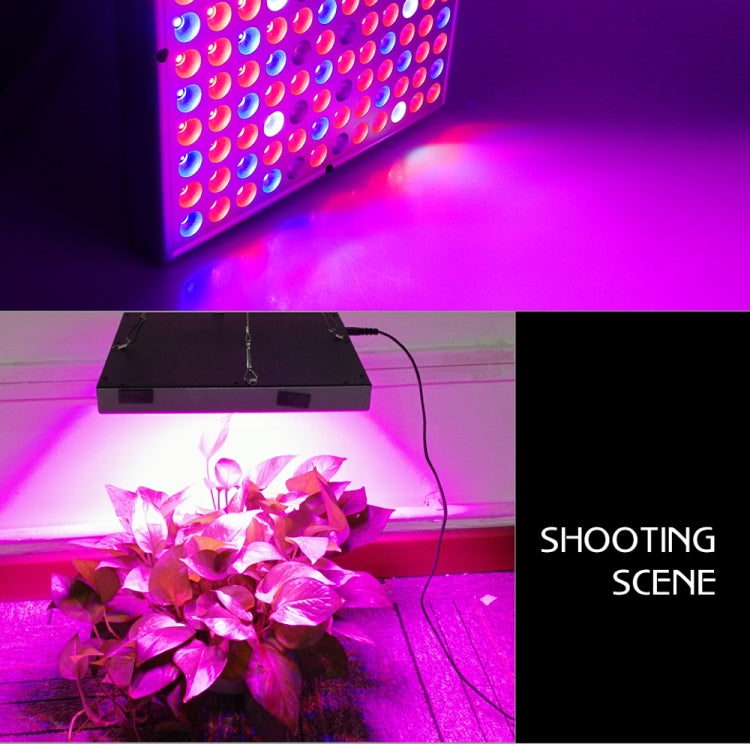 Luz de Crescimento para Plantas de Espectro Completo 45W 144 LEDs Fitolampy para Plantas, Flores, Cultivo de Mudas, Lâmpadas LED de Crescimento AC85-265V, EUA, UE, AU, UK