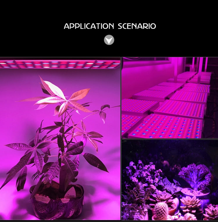 Luz de Crescimento para Plantas de Espectro Completo 45W 144 LEDs Fitolampy para Plantas, Flores, Cultivo de Mudas, Lâmpadas LED de Crescimento AC85-265V, EUA, UE, AU, UK