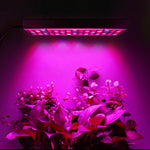Luz de Crescimento para Plantas de Espectro Completo 45W 144 LEDs Fitolampy para Plantas, Flores, Cultivo de Mudas, Lâmpadas LED de Crescimento AC85-265V, EUA, UE, AU, UK