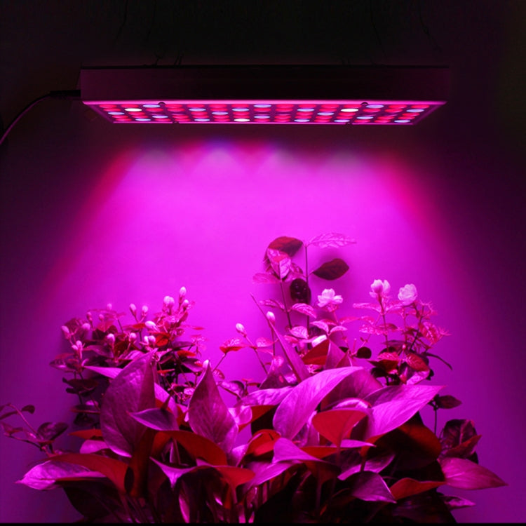 Luz de Crescimento para Plantas de Espectro Completo 45W 144 LEDs Fitolampy para Plantas, Flores, Cultivo de Mudas, Lâmpadas LED de Crescimento AC85-265V, EUA, UE, AU, UK