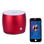 Coluna Bluetooth Portátil EWA A103 Caixa de Som Wireless com Graves Potentes Subwoofer Som Surround para Chamada e Duche