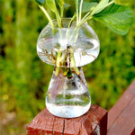 Vaso de Vidro em Forma de Cogumelo para Terrário, Recipiente para Flores, Decoração de Mesa para Casa
