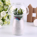 Vaso de Vidro em Forma de Cogumelo para Terrário, Recipiente para Flores, Decoração de Mesa para Casa