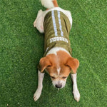 Impermeável para Animais de Estimação com Capuz e Faixa Reflectora Dobrável, Roupa para Cão, S, M, L, XL, XXL