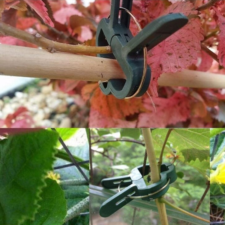 Conjunto de Presilhas para Plantas de Jardim em Plástico, 5 Conjuntos