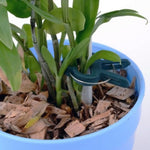 Conjunto de Presilhas para Plantas de Jardim em Plástico, 5 Conjuntos