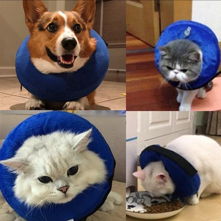 Coleira Inflável em PVC para Cães, Anti-arranco, S, M, L, XL
