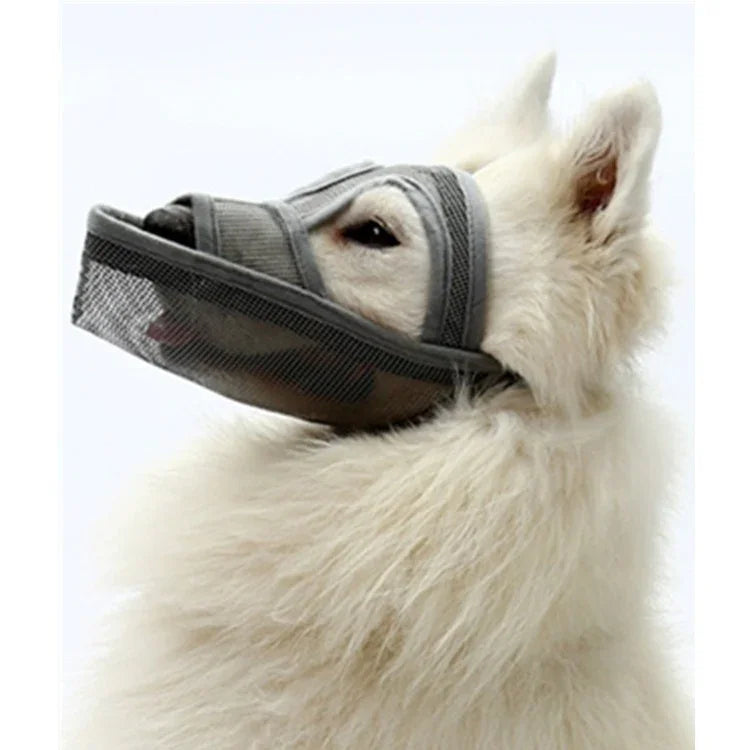 Máscara para Boca de Cão de Boca Longa Pequeno e Médio Máscara para Cão Teddy, XXS, XS, S, M, L, XL