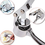 Kitchen Handheld Stainless Steel Ginger Garlic Crusher Garlic Puree Machine, Stainless Steel 3