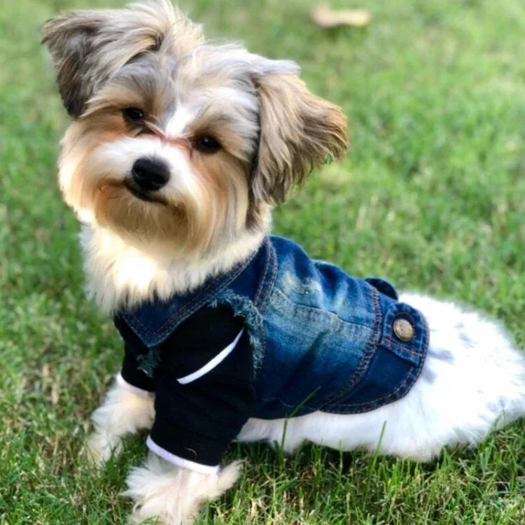 Colete Pequeno Retro em Ganga Roupa para Cão Roupa para Animais Casaco, L, XL, XS, M