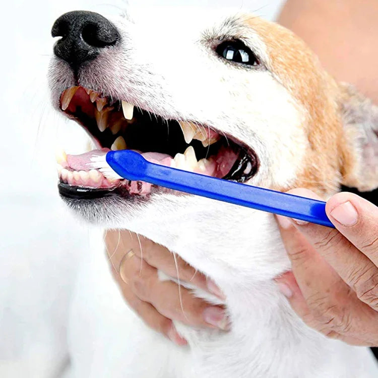 10 Unidades de Escova de Dentes para Cão e Gato, Cuidados Orais Eficazes para Animais, Cabo Azul + Cerdas Médias