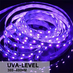 Tira de Luz LED UV Roxa 2835 SMD, Luz Decorativa, Tira Impermeável 5m, Tira Impermeável 10m, Placa Nua 5m, Placa Nua 10m