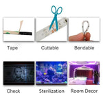 Tira de Luz LED UV Roxa 2835 SMD, Luz Decorativa, Tira Impermeável 5m, Tira Impermeável 10m, Placa Nua 5m, Placa Nua 10m