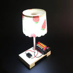 Lâmpada de Mesa Pequena DIY Criativa, Tecnologia, Produção Pequena, Materiais Manuais para Estudantes do Ensino Básico, Experiência Científica, Lâmpada de Mesa Pequena DIY