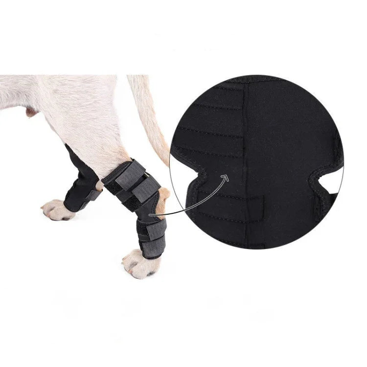 Suporte para Articulação do Cão DogLemi PD60041, Envolvente de Compressão para Perna Traseira, Protege Feridas e Lesões, S, M, L, XL