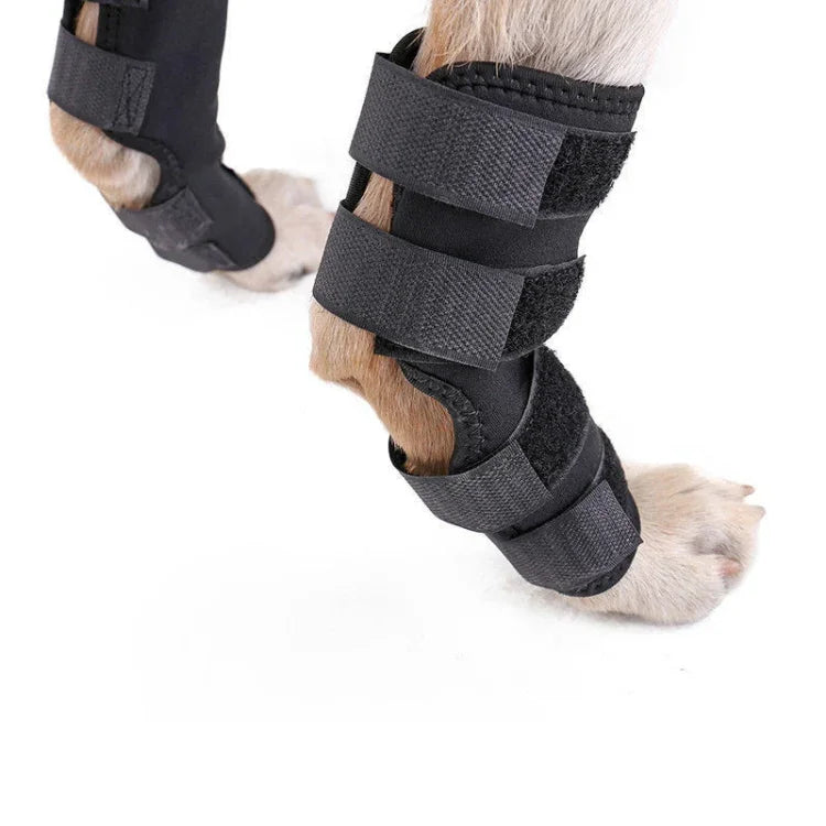 Suporte para Articulação do Cão DogLemi PD60041, Envolvente de Compressão para Perna Traseira, Protege Feridas e Lesões, S, M, L, XL