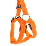 Trela com Arnês para Animais de Estimação com Luz LED Dupla Face, Tira Peitoral em Nylon para Gato e Cão, S, M