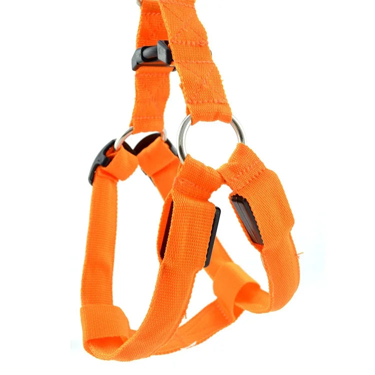 Trela com Arnês para Animais de Estimação com Luz LED Dupla Face, Tira Peitoral em Nylon para Gato e Cão, S, M