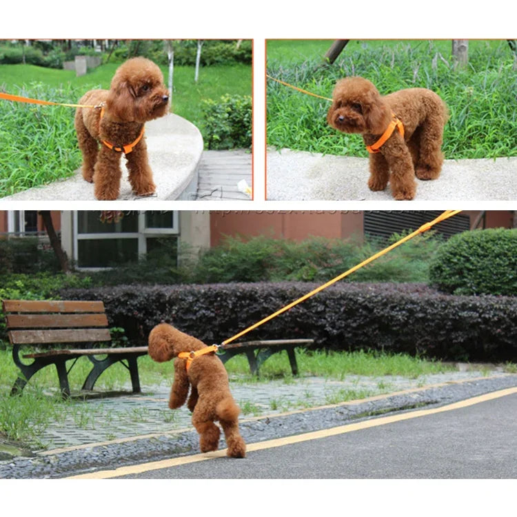 Trela com Arnês para Animais de Estimação com Luz LED Dupla Face, Tira Peitoral em Nylon para Gato e Cão, S, M