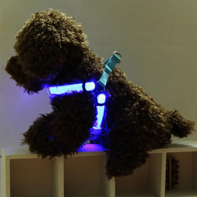 Trela com Arnês para Animais de Estimação com Luz LED Dupla Face, Tira Peitoral em Nylon para Gato e Cão, S, M