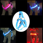 Trela com Arnês para Animais de Estimação com Luz LED Dupla Face, Tira Peitoral em Nylon para Gato e Cão, S, M