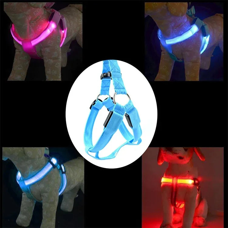Trela com Arnês para Animais de Estimação com Luz LED Dupla Face, Tira Peitoral em Nylon para Gato e Cão, S, M
