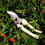 Tesouras de Poda para Jardim em Aço Inoxidável, Tesouras para Árvores de Fruto, Tesouras para Ramos de Jardim, Embalagens Novas e Usadas Entrega Aleatória