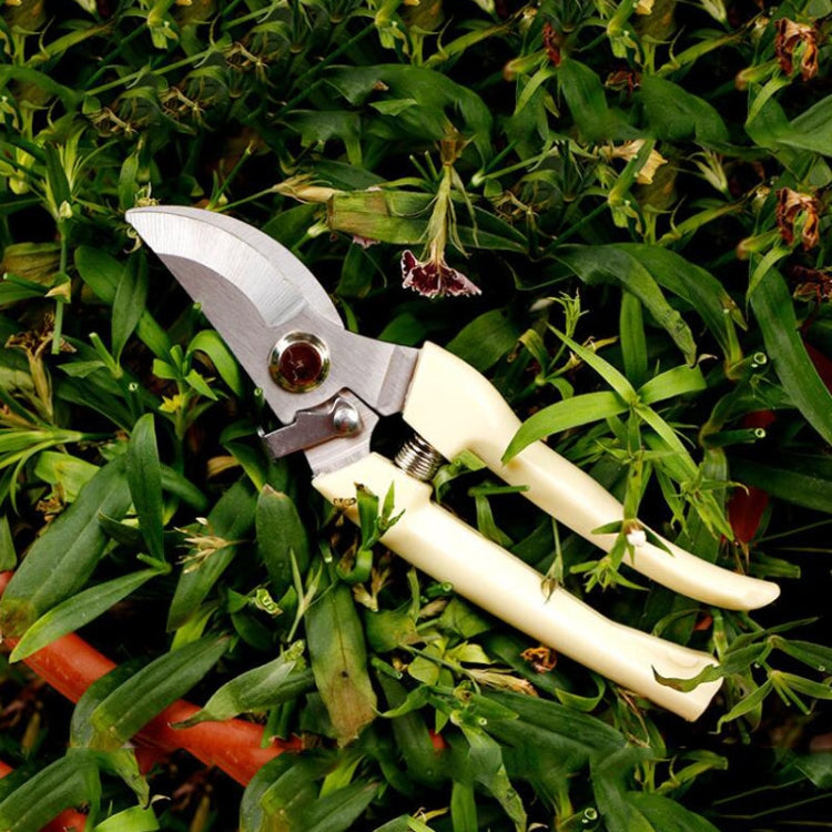 Tesouras de Poda para Jardim em Aço Inoxidável, Tesouras para Árvores de Fruto, Tesouras para Ramos de Jardim, Embalagens Novas e Usadas Entrega Aleatória