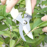 Tesouras de Poda para Jardim em Aço Inoxidável, Tesouras para Árvores de Fruto, Tesouras para Ramos de Jardim, Embalagens Novas e Usadas Entrega Aleatória