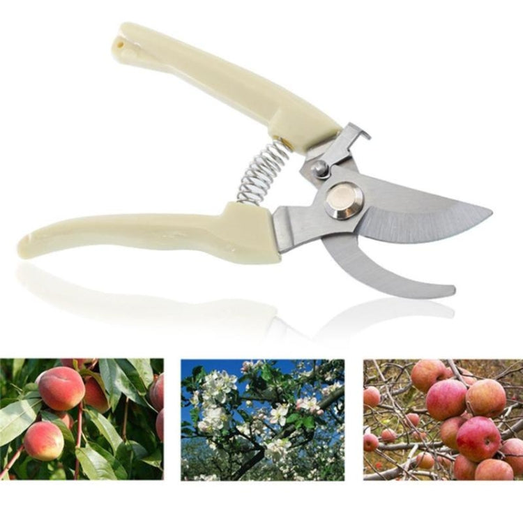 Tesouras de Poda para Jardim em Aço Inoxidável, Tesouras para Árvores de Fruto, Tesouras para Ramos de Jardim, Embalagens Novas e Usadas Entrega Aleatória