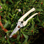 Tesouras de Poda para Jardim em Aço Inoxidável, Tesouras para Árvores de Fruto, Tesouras para Ramos de Jardim, Embalagens Novas e Usadas Entrega Aleatória