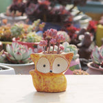Vaso de Cerâmica para Plantas Suculentas, Vaso para Dedos, Vaso Fox para Flores, Cor Enviada Aleatoriamente (Sem Plantas), Vaso Fox para Flores