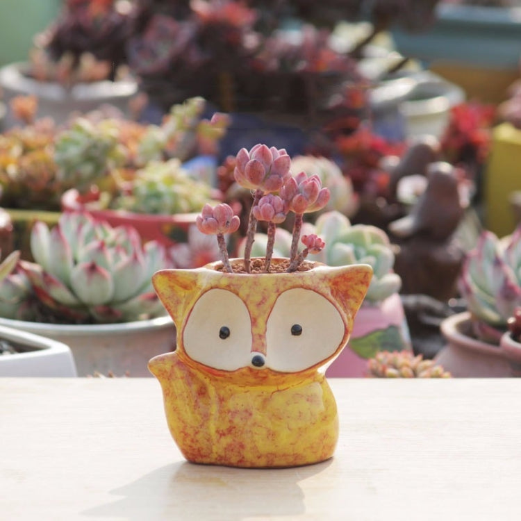 Vaso de Cerâmica para Plantas Suculentas, Vaso para Dedos, Vaso Fox para Flores, Cor Enviada Aleatoriamente (Sem Plantas), Vaso Fox para Flores