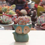 Vaso de Cerâmica para Plantas Suculentas, Vaso para Dedos, Vaso Fox para Flores, Cor Enviada Aleatoriamente (Sem Plantas), Vaso Fox para Flores